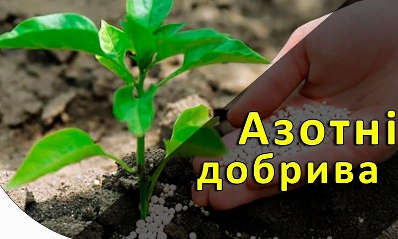 Азотное удобрение “Карбамид” N-46 2   Мочевина  ДнепрАзот Недорого Опт Доставка Запорожская Херсонская