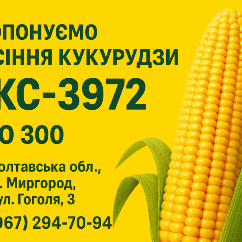 Пропонуємо вам насіння соняшнику  мінеральні добрива  та засоби захисту рослин